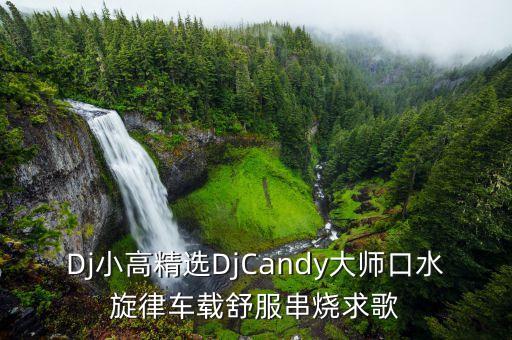 Dj小高精选DjCandy大师口水旋律车载舒服串烧求歌