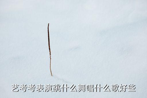 艺考应该跳什么舞，艺考考表演跳什么舞唱什么歌好些