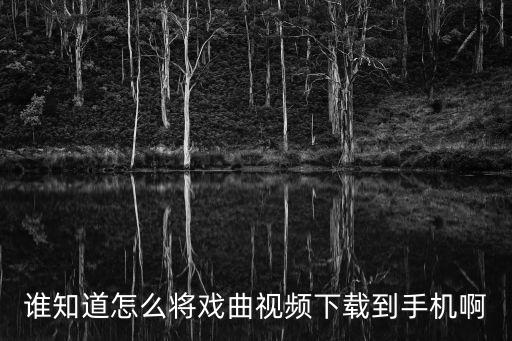 什么是戏曲舞蹈视频下载，什么是戏曲