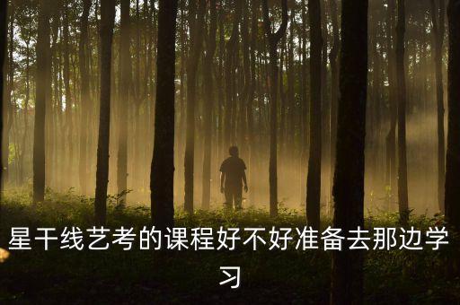 星干线艺考的课程好不好准备去那边学习