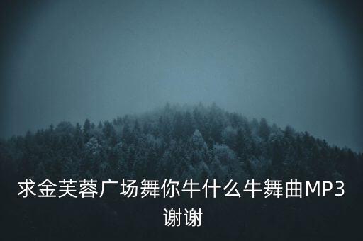 求金芙蓉广场舞你牛什么牛舞曲MP3 谢谢