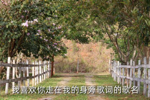 我喜欢你走在我的身旁歌词的歌名