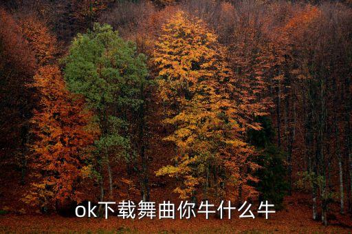 ok下载舞曲你牛什么牛