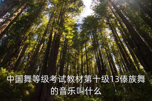 中国舞等级考试教材第十级13傣族舞的音乐叫什么
