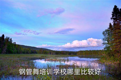 比较专业的舞蹈培训机构，钢管舞培训学校哪里比较好