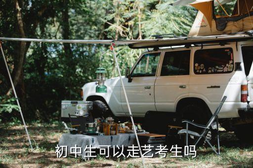 初中毕业可以艺考吗，初中生可以走艺考生吗