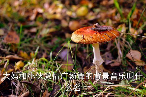 大妈和小伙激情广场舞的背景音乐叫什么名