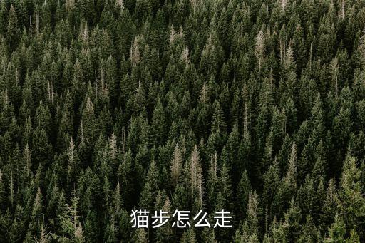 三步踩猫步怎么走，怎么走猫步