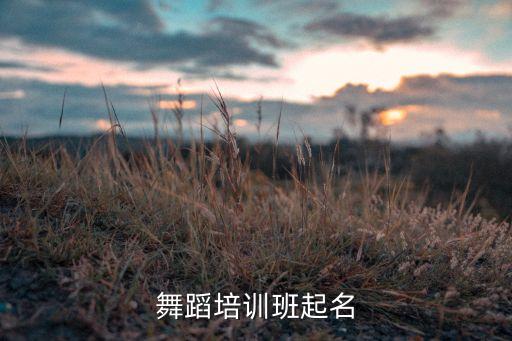 舞蹈培训学校名字，哪个帮忙起个艺术培训的名字