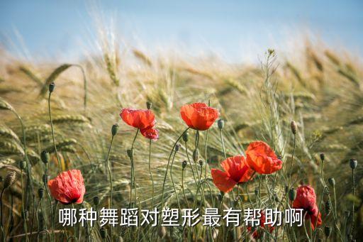哪种舞蹈对塑形最有帮助啊