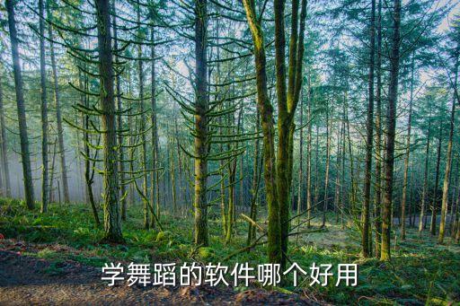 自学舞蹈的app排行，初学者在家学舞蹈哪个软件最好