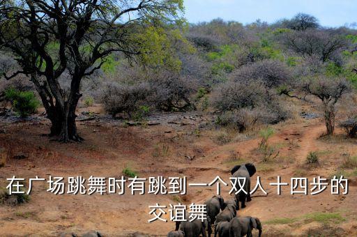 在广场跳舞时有跳到一个双人十四步的交谊舞
