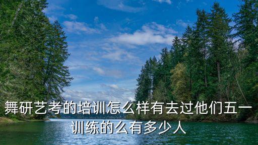 舞研艺考的培训怎么样有去过他们五一训练的么有多少人