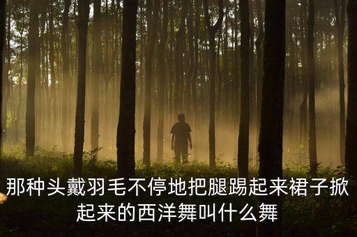 踢腿那个舞叫什么，那种头戴羽毛不停地把腿踢起来裙子掀起来的西洋舞叫什么舞