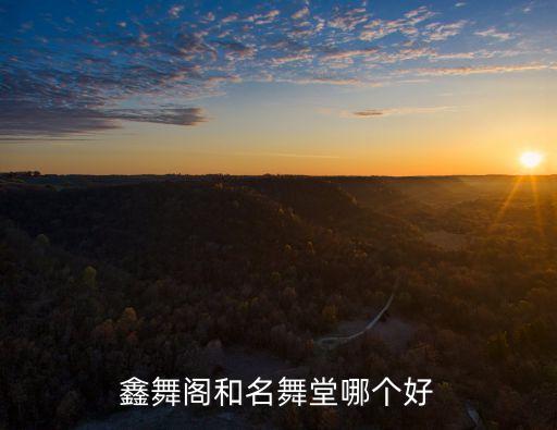 鑫舞阁和名舞堂哪个好
