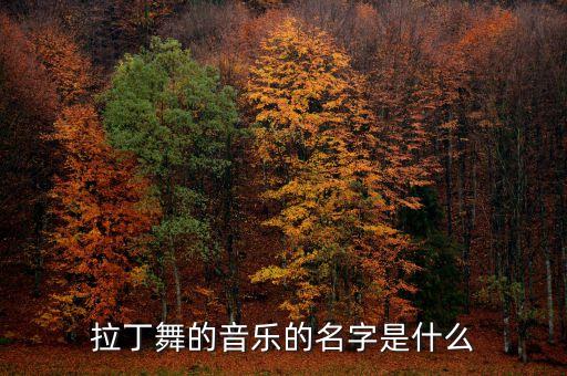拉丁舞的音乐的名字是什么