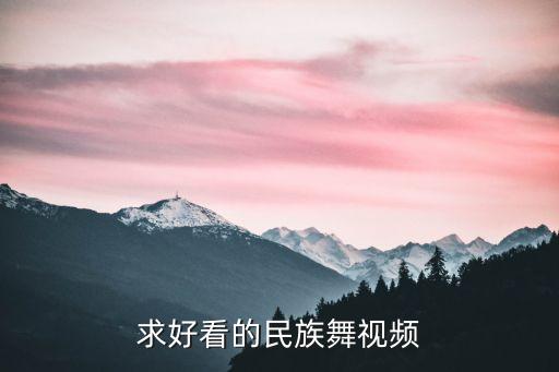 民族舞舞蹈视频，古典舞 欢快的民族舞 好学 好看 求推荐