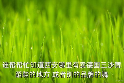 西安舞蹈鞋哪里有卖，谁帮帮忙知道西安哪里有卖德国三沙舞蹈鞋的地方 或者别的品牌的舞