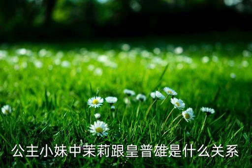 公主小妹中茉莉跟皇普雄是什么关系
