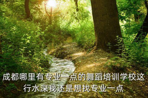 成都哪里有专业一点的舞蹈培训学校这行水深我还是想找专业一点