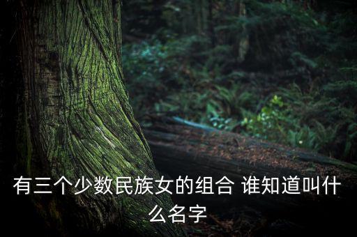 高原红 女子组合叫什么名字，有三个少数民族女的组合 谁知道叫什么名字