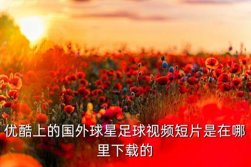 海外短视频怎么下载使用，优酷上的国外球星足球视频短片是在哪里下载的