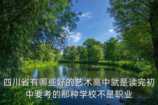 四川艺术高中，四川省有哪些好的艺术高中就是读完初中要考的那种学校不是职业
