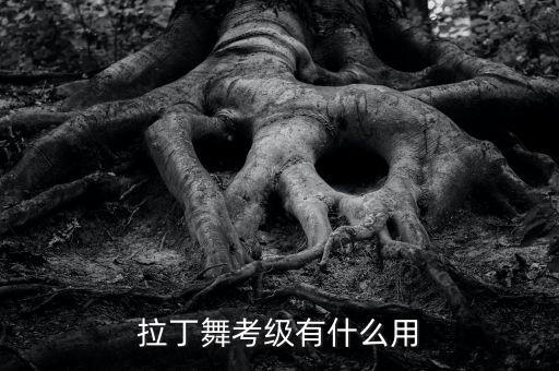拉丁舞考级有什么用