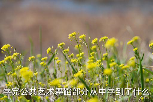 舞蹈学会了什么，作文男生学习舞蹈心得