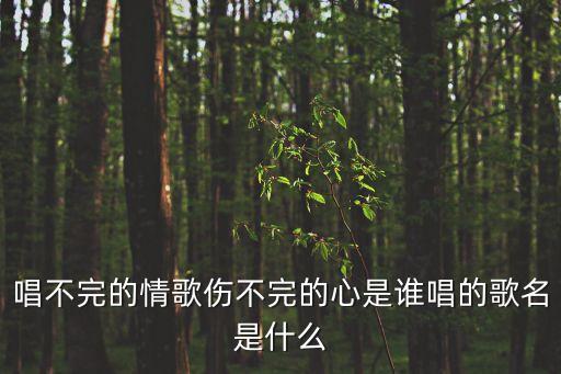 唱不完的情歌伤不完的心是谁唱的歌名是什么
