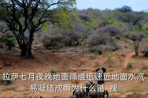拉萨七月夜晚地面降温迅速近地面水汽易凝结成雨为什么错  搜