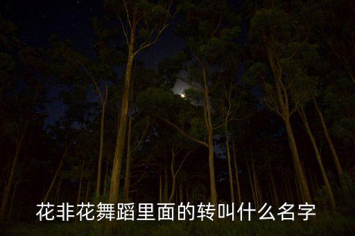 旋转的古典舞蹈都有什么，花非花舞蹈里面的转叫什么名字