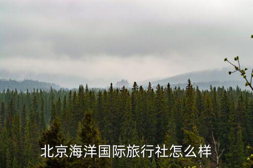 北京海洋国际旅行社怎么样