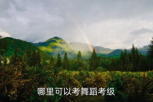 哪里可以考舞蹈考级