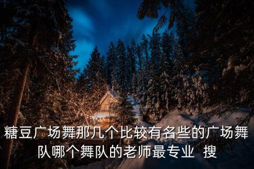 广场舞有哪些队，糖豆广场舞那几个比较有名些的广场舞队哪个舞队的老师最专业  搜