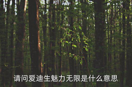 请问爱迪生魅力无限是什么意思