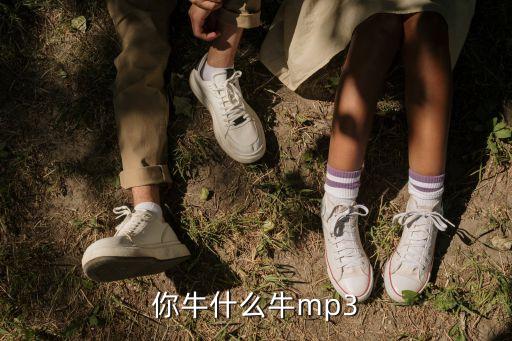 你牛什么牛mp3