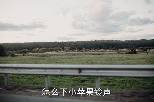 怎么下载小水果的歌，哪里下载小苹果mv