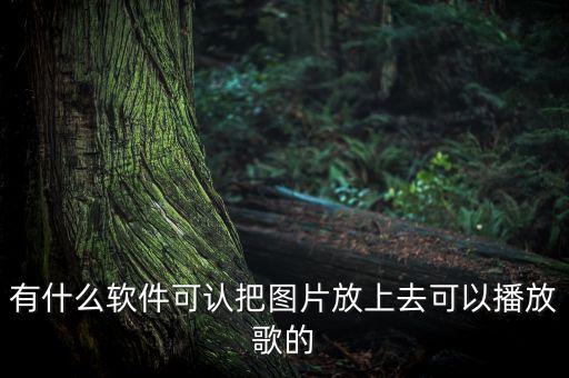 有什么软件可认把图片放上去可以播放歌的