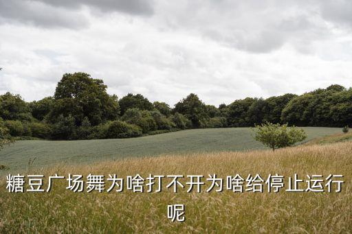 糖豆广场舞为啥打不开为啥给停止运行呢