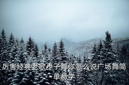 厉害经典老歌步子舞你怎么说广场舞简单易学