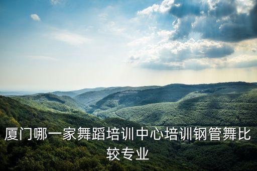 厦门哪一家舞蹈培训中心培训钢管舞比较专业