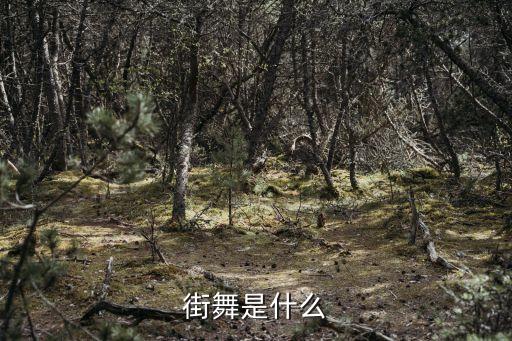 街舞是什么