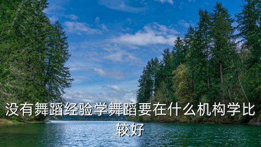 舞蹈老师机构，我想当拉丁舞老师哪里有职业培训哪个机构比较好