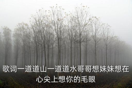 歌词一道道山一道道水哥哥想妹妹想在心尖上想你的毛眼