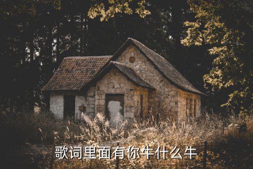 歌词里面有你牛什么牛