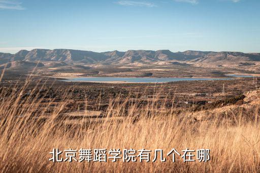 北京舞蹈学院有几个在哪