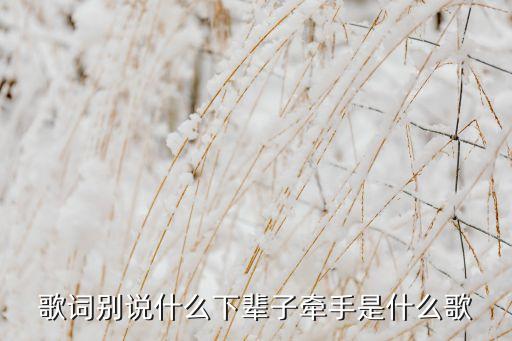 歌词别说什么下辈子牵手是什么歌