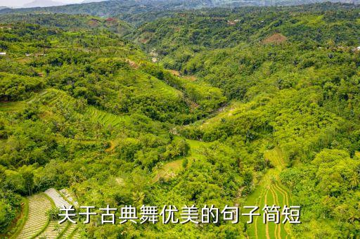 关于古典舞优美的句子简短