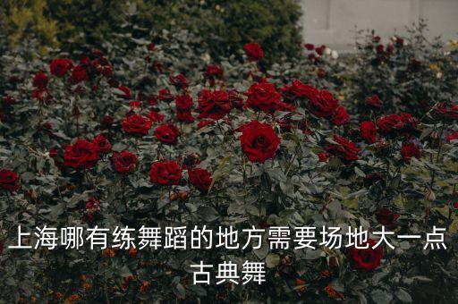 上海哪有练舞蹈的地方需要场地大一点古典舞